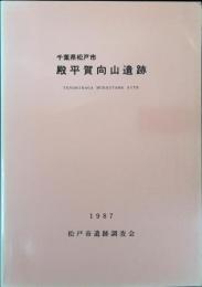 殿平賀向山遺跡発掘調査報告書