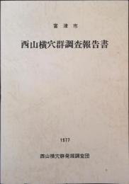 富津市西山横穴群調査報告書