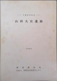 山田大宮遺跡 : 千葉県市原市