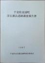 千葉県富浦町深名瀬畠遺跡調査報告書