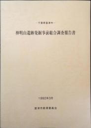 神明山遺跡発掘事前総合調査報告書