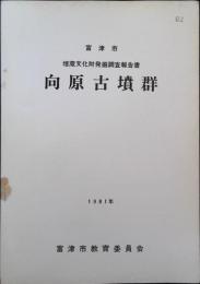 向原古墳群 富津市埋蔵文化財発掘調査報告書