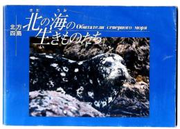 北方四島北の海の生きものたち