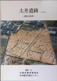 太井遺跡（その2）調査の概要