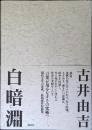 白暗淵