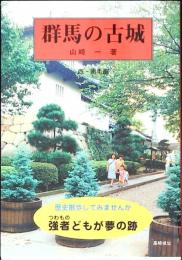 群馬の古城 : 歴史散歩してみませんか強者どもが夢の跡