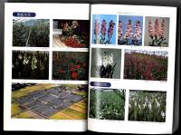 千葉の花　1979～ 発展を続ける千葉県花き園芸