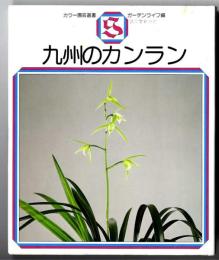 九州のカンラン