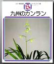 九州のカンラン