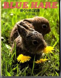 野ウサギの四季