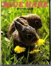 野ウサギの四季