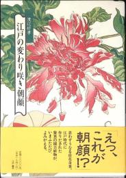 江戸の変わり咲き朝顔