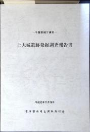 上大城(かみおおしろ)遺跡発掘調査報告書 : 千葉県袖ケ浦市