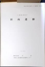 田向遺跡