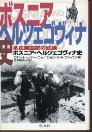 ボスニア・ヘルツェゴヴィナ史 : 多民族国家の試練