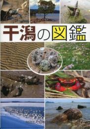 干潟の図鑑