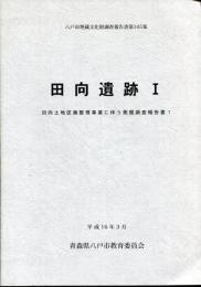 田向遺跡