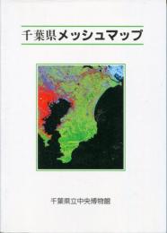 千葉県メッシュマップ