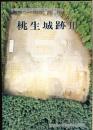 桃生城跡　多賀城関連遺跡発掘調査報告書第20冊 3 ＜多賀城関連遺跡発掘調査報告書 第20冊＞
