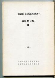 上総国分寺台発掘調査概要