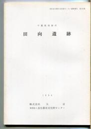 田向遺跡