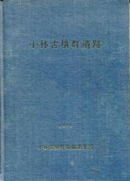 小林古墳群遺跡