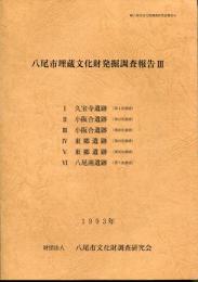 八尾市埋蔵文化財発掘調査報告3 1993年 財団法人八尾市埋蔵文化財発掘調査研究会報告41
