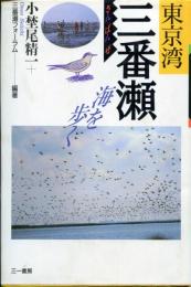 東京湾三番瀬 : 海を歩く