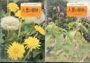 人里の植物1.2 2冊セット