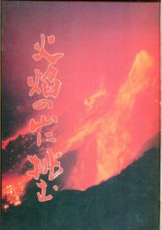火焔の山に挑む : 雲仙・普賢岳と自衛隊