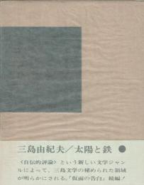 太陽と鉄