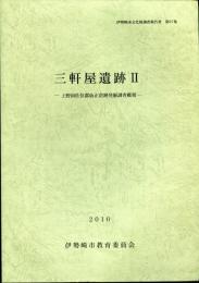 三軒屋遺跡2　上野国佐位郡衙正倉跡発掘調査概報