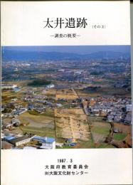 太井遺跡　その3　調査の概要