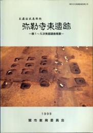 弥勒寺東遺跡 : 美濃国武義郡衙