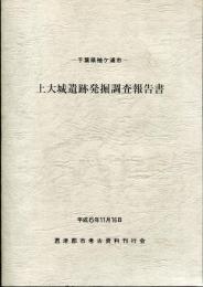 上大城(かみおおしろ)遺跡発掘調査報告書 : 千葉県袖ケ浦市