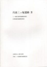 丹波三ツ塚遺跡4　三ツ塚廃寺跡発掘調査報告　天神窯跡発掘調査報告