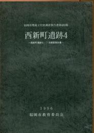 福岡市埋蔵文化財調査報告書第483集　西新町遺跡4　ー西新町遺跡6・7次調査報告書ー