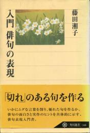 入門俳句の表現