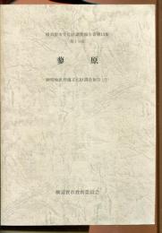 蓼原　横須賀市文化財調査報告書第13集　神明地区埋蔵文化財調査報告（１）