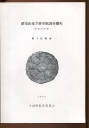 横滝山廃寺跡発掘調査概報