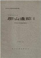 郡山遺跡 : 発掘調査概報Ⅰ～Ⅵ
