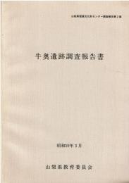 牛奥遺跡調査報告書　昭和59年3月