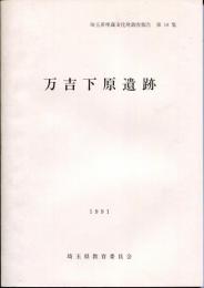 万吉下原遺跡