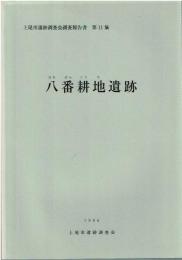 八番耕地遺跡