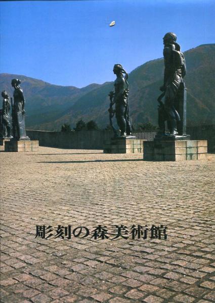 新編高崎市史(高崎市市史編さん委員会 編) / はじっこブックス