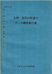 大町・糸魚川街道のボッカ調査報告書