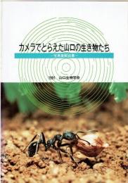 カメラでとらえた山口の生き物たち
