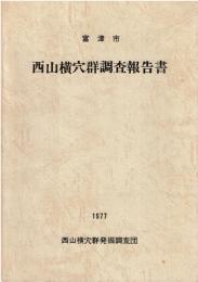 富津市西山横穴群調査報告書