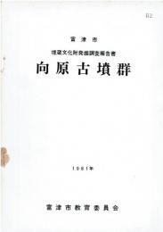 向原古墳群 : 第6号古墳発掘調査報告書