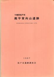 殿平賀向山遺跡発掘調査報告書